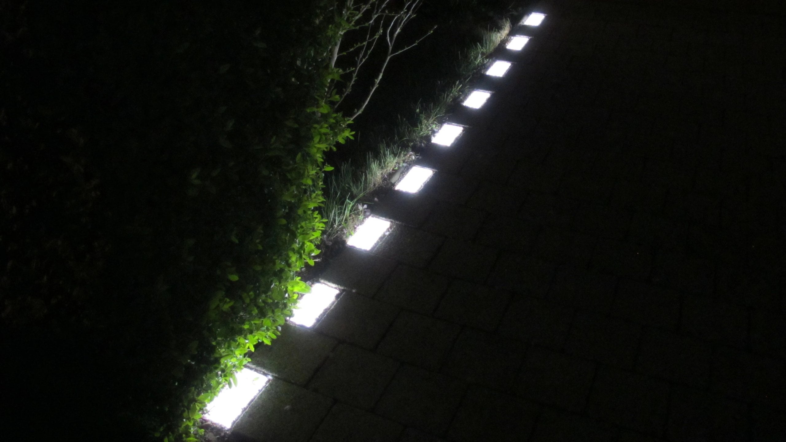 Lightstone LED-Pflastersteine entlang einer Hecke am Rand eines Wegs bei Nacht