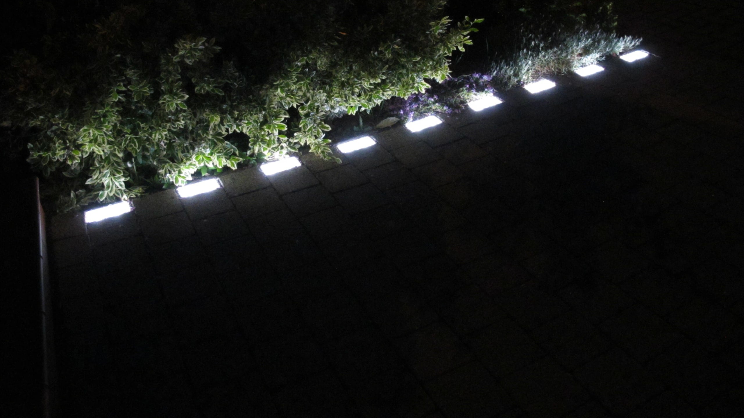 Fußweg bei Nacht, leuchtende Steine führen an einer bepflanzten Kante entlang